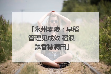 永州零陵：早稻管理见成效 稻浪飘香穗满田